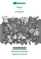 BABADADA black-and-white, Vlaams - slovenčina, Beeldwoordenboek - obrazkovy slovnik - Babadada GMBH - Paperback (9783752216356)