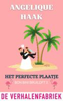 Het perfecte plaatje - Angelique Haak - ebook - thumbnail