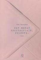 Het wordt spectaculair. Beloofd - Zita Theunynck - ebook