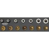 Hazet 163-251/14 Dopsleutel-bitinzetset 1/4 (6.3 mm) 14-delig