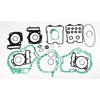Complete Gasket Kit (oil seals not included)