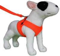 Hondentuig Comfy Harnass Mesh Fluo Orange