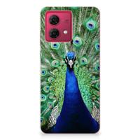 Motorola Moto G84 TPU Hoesje Pauw - thumbnail