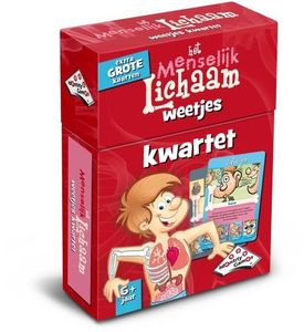 Kwartet Menselijk Lichaam