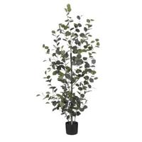 Mica Decorations Eucalyptus Kunstplant - H150 x Ø30 cm - Groen