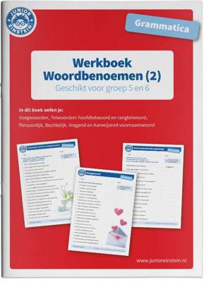 Werkboek Woordbenoemen Grammatica deel 2 Groep 5 en 6 - Paperback (9789493128149)