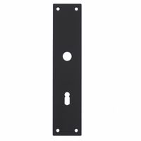 Intersteel renovatieschild rechthoekig 250x55x2mm sleutelgat 72mm - RVS/mat zwart