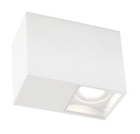 Wever & Ducre - Plano Surface 1.0 LED Plafondlamp - thumbnail