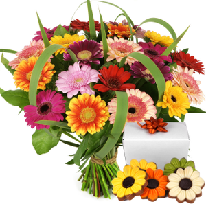 Gerbera bloemen met chocolade bezorgen