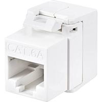 Renkforce Netwerkadapter CAT 6a
