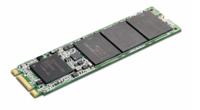 ThinkPad - Solid state drive - gecodeerd - 256 GB - intern - M.2 - SATA
