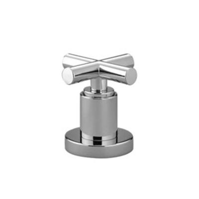 Dornbracht Tara 2 wegs omstelkraan voor badrandmontage platina mat 2914089206