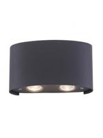 Paul Neuhaus CARLO 9487-13 LED-wandlamp 3,2 W LED antraciet