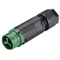 Wieland Electric 46.032.4555.7 Ronde connector Stekker, recht Totaal aantal polen: 2 + PE Serie (ronde connectoren): RST® MINI 1 stuk(s)