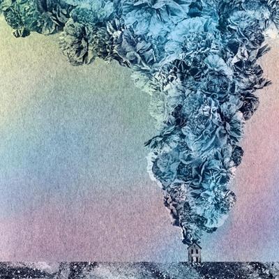 Carnation - LP (0098787112719)