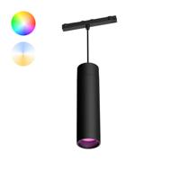 Philips Hue Perifo - White and color uitbreiding hanglamp zwart 929003115901 - thumbnail