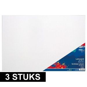 3x Luxe canvas om te schilderen 40 x 60 cm   -