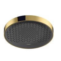 Hansgrohe Hoofddouche Plafond Rainfinity PowderRain 360 1jet Gepolijst Goud