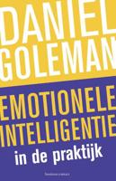 Emotionele intelligentie in de praktijk - Daniël Goleman - Paperback (9789047006756)
