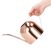 Viking Choice  Gieter voor binnen 1,5L - Rose goud - Plant verzorging