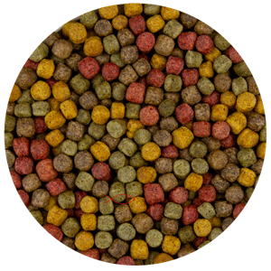 Pond Pro Multi Kwartet Mix 6mm - Uitgebalanceerde Koi Vijvervoeding 5kg - Gezondheid & Kleur