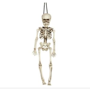 Fiestas Horror/halloween decoratie skelet/geraamte pop - hangend - 40 cm