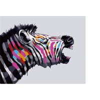 Schilderen Op Nummer - Zebra - 40 X 50 Cm