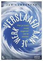 Verslaafd aan je werk - Jan Lambertyn - ebook - thumbnail