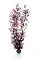 biOrb Zee Ventilator, Extra Large, Crimson