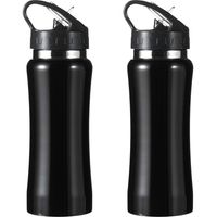 Set van 2x stuks luxe Drinkfles/waterfles 600 ml zwart van RVS