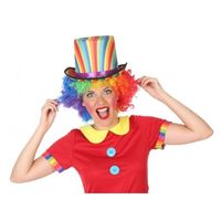 Clown verkleed set gekleurde pruik met hoge hoed