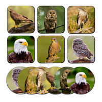 Onderzetters - Roofvogels - thumbnail