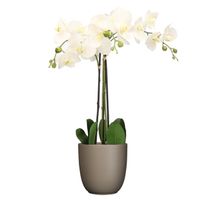 Orchidee kunstplant wit - 75 cm - inclusief bloempot taupe mat