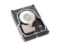 ST336754LW - Seagate HDD 36,7 GB 15K U-320 SCSI WIDE 68PIN