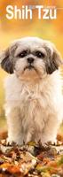 Shih Tzu Slim Calendar 2026 Dog Breed Slimline Calendar - 12 Month