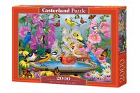 Rhythm of Nature Puzzel 2000 Stukjes