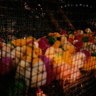 Grounders - CD (0823674025427)