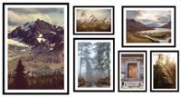 Posters - Natuur / 03 / Set van 6 - thumbnail