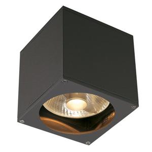 SLV Plafond- wandspot Big Theo GU10 13,5cm antraciet 229565