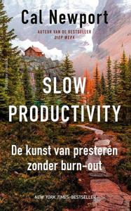 Slow productivity (Paperback)