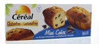 Cake mini choco glutenvrij - thumbnail