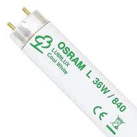 Osram L36W/840 lamp, 36 W, G13, A, 18000 uur, 3350 lm