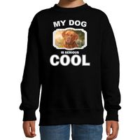 Franse mastiff honden trui / sweater my dog is serious cool zwart voor kinderen - thumbnail