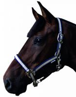 S2G halster pony 40 x 35 x 3,5 cm nylon wit/blauw