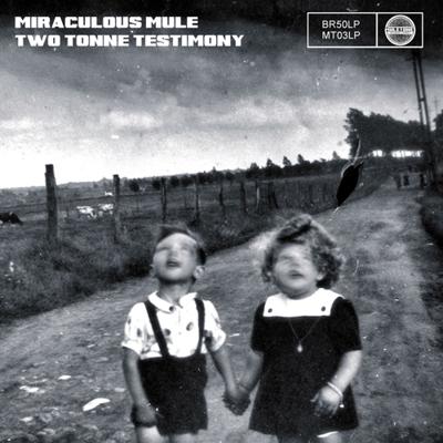 Two Tonne Testimony - CD (5051083113687)
