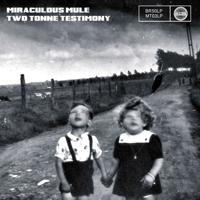 Two Tonne Testimony - CD (5051083113687)