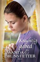 Krachtig gebed - Wanda E. Brunstetter - ebook