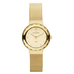 Horlogeband Skagen 456SGSG Staal Doublé