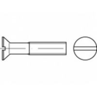 TOOLCRAFT TO-5392359 Verzonken schroeven M10 100 mm Sleuf Staal Galvanisch verzinkt 100 stuk(s)