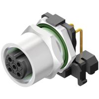 Weidmüller 2424290000 Sensor/actuator connector, niet geassembleerd Aantal polen: 4 10 stuk(s)